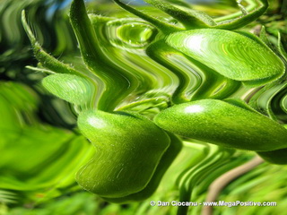 Green Rabbits - abstract art