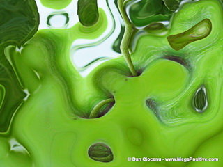 Green Worm Hole - abstract art