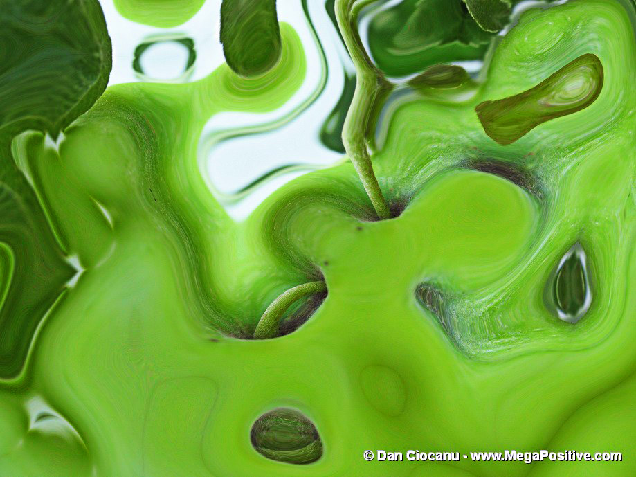 abstract art for sale - green abstract art for office