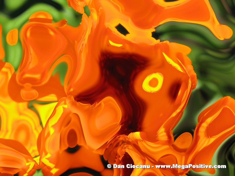 abstract art for sale - orange abstract art for office