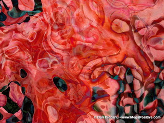 Coral Fluid - abstract art